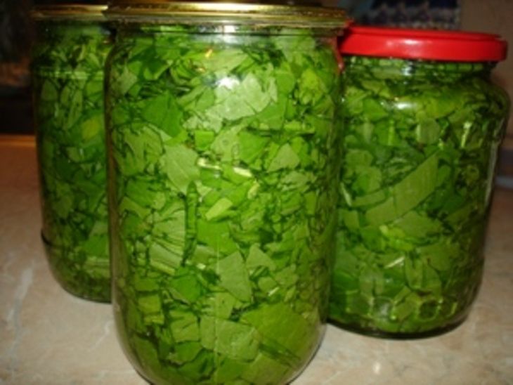Заготовка для зеленых щей с медуницей и черемшой