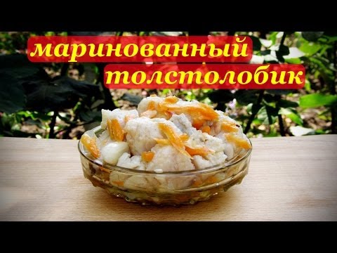 Маринованный толстолобик, рецепт рыбной закуски